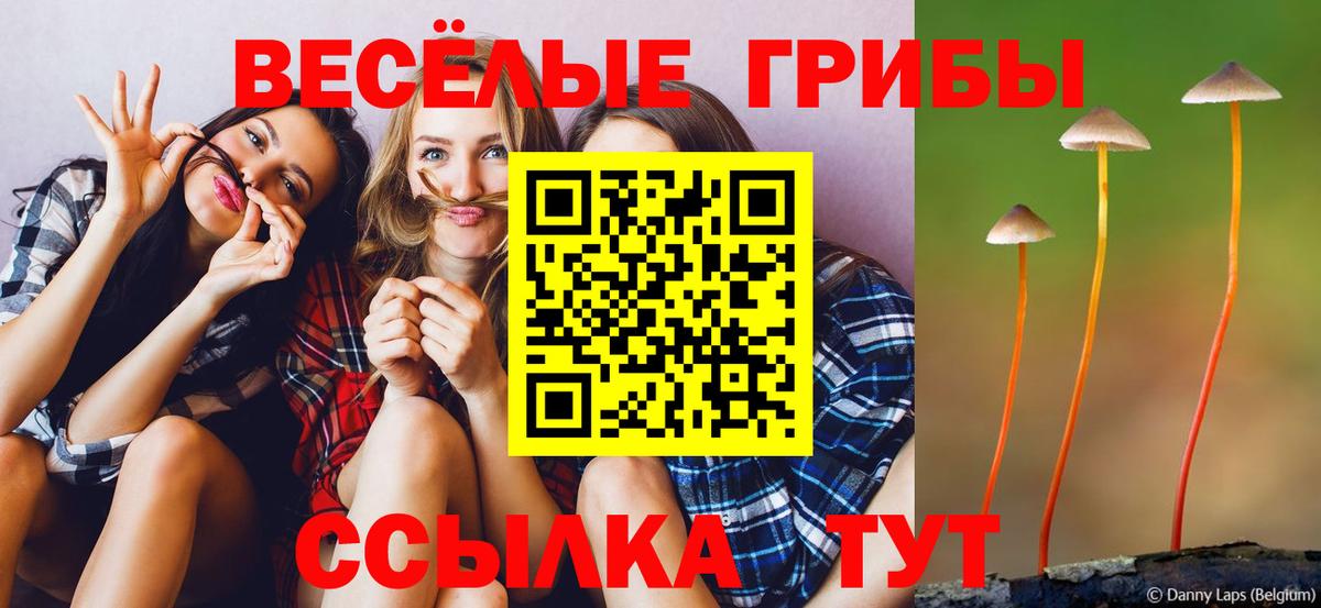где найти   Галлюциногенные грибы MAGIC MUSHROOMS  Вход с VPN  Стрежевой 